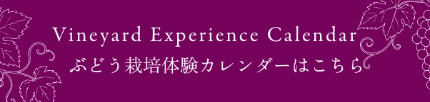 ぶどう栽培カレンダーはこちら