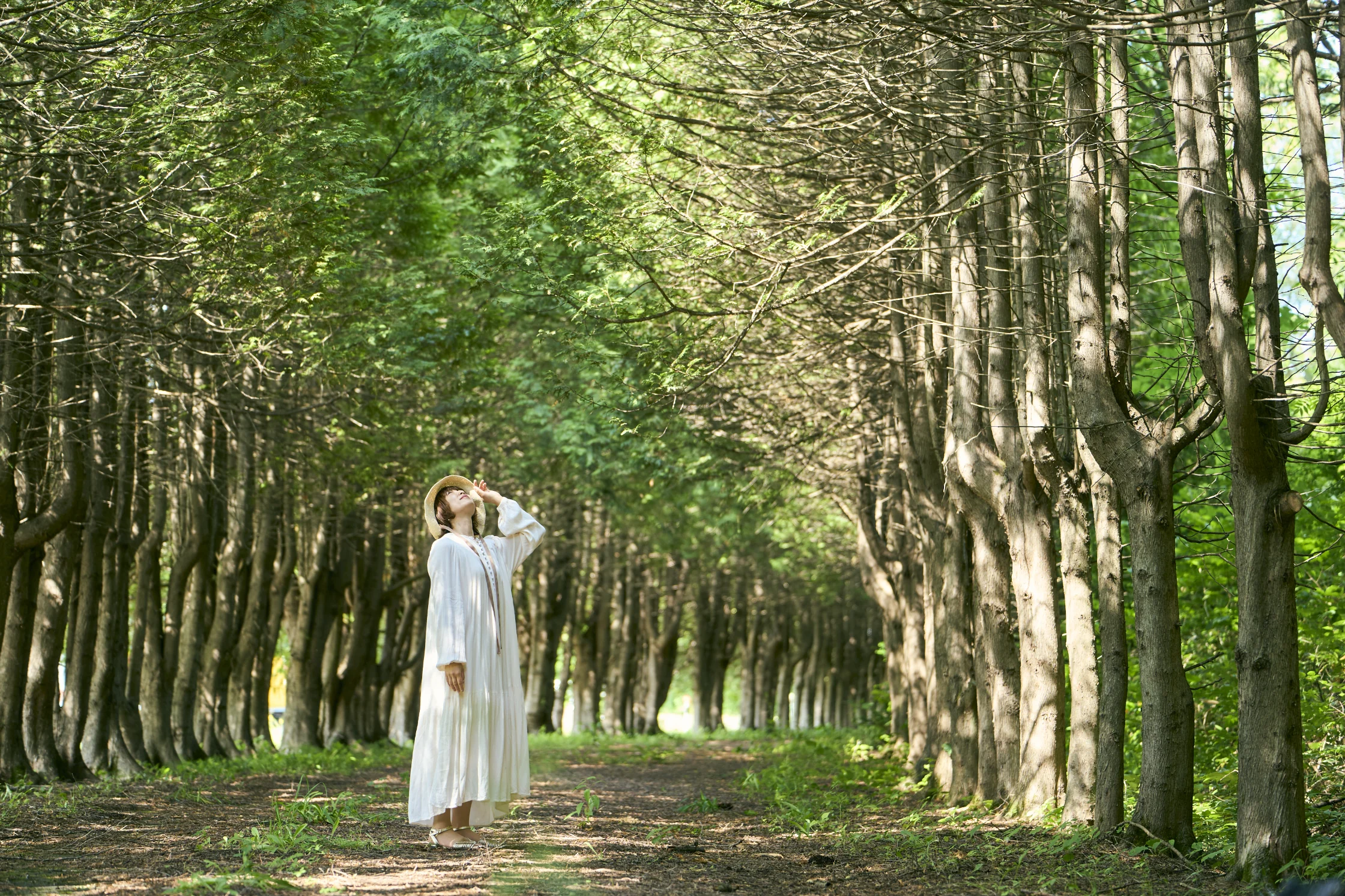 十勝まきばの家　Winery & Campfield